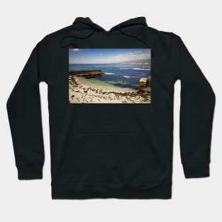 California Sea Lions at the Beach Hoodie